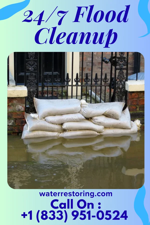 24/7 Flood Cleanup in Mill Shoals, IL
