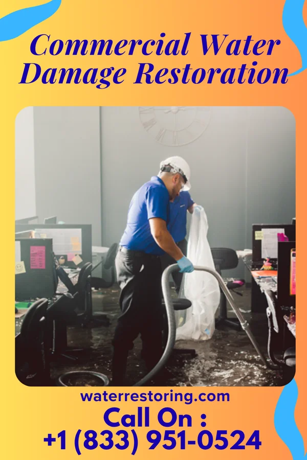 Commercial Water Damage Restoration in Mill Shoals, IL